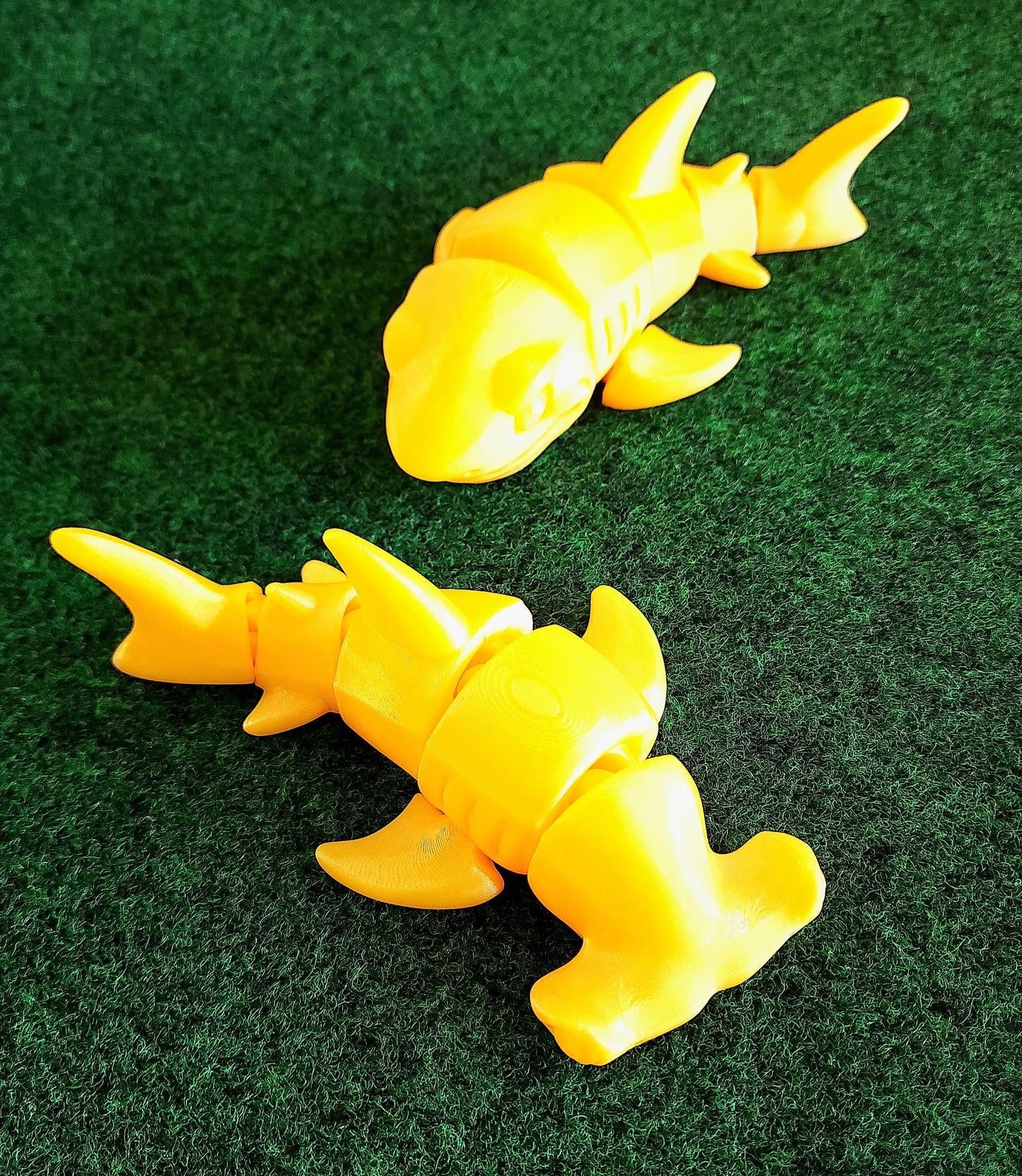 Shark (Great White & Hammerhead)