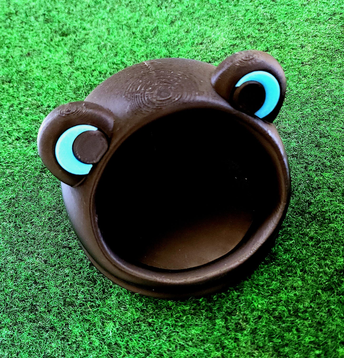 Frog Home